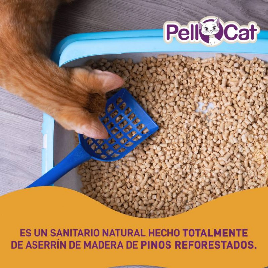 pellcat-x-52-dm-37-kg