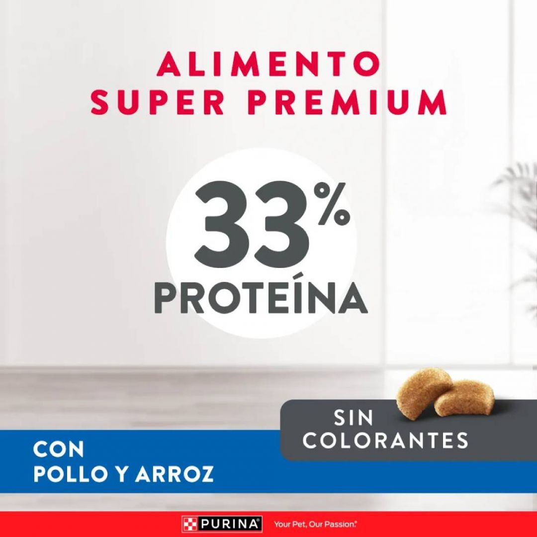 excellent-gato-urinary-1-kg
