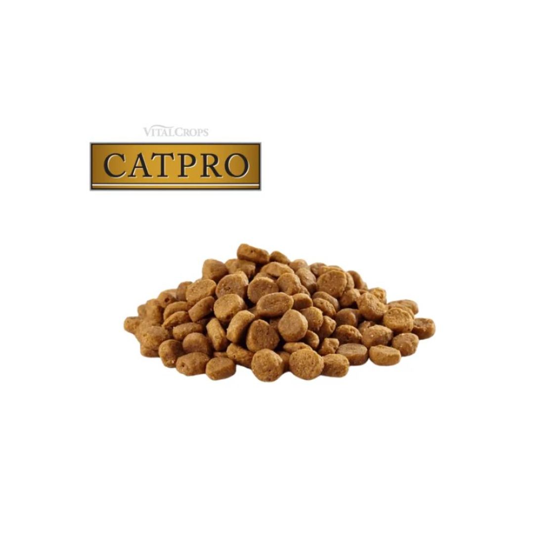 ff-catpro-x-1-kg