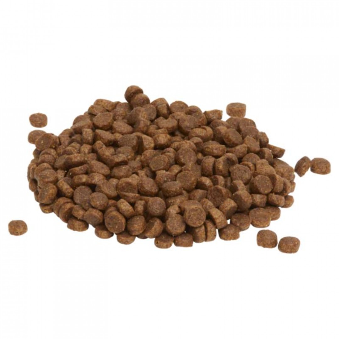 ff-iams-ad-sb-x-3-kg