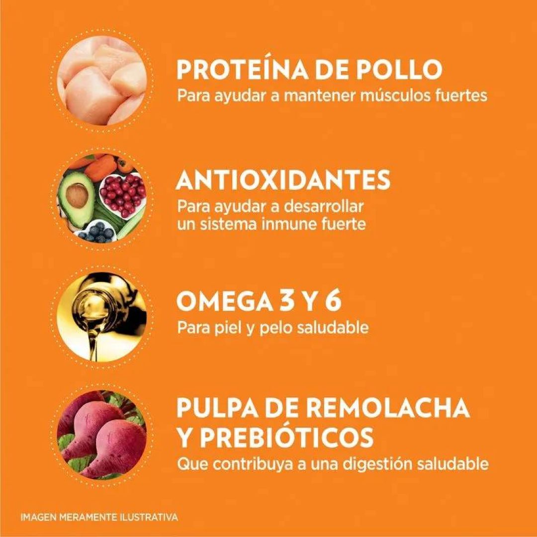 iams-gato-ad-15-kg