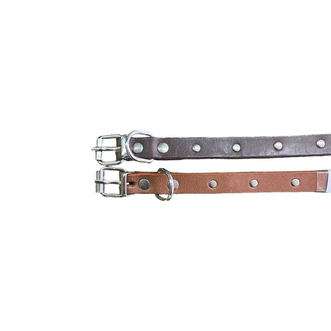 collar-cuero-perro-15-cm-ctacha-n-1