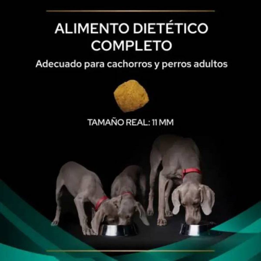 pro-plan-canine-en-gastro-2-kg