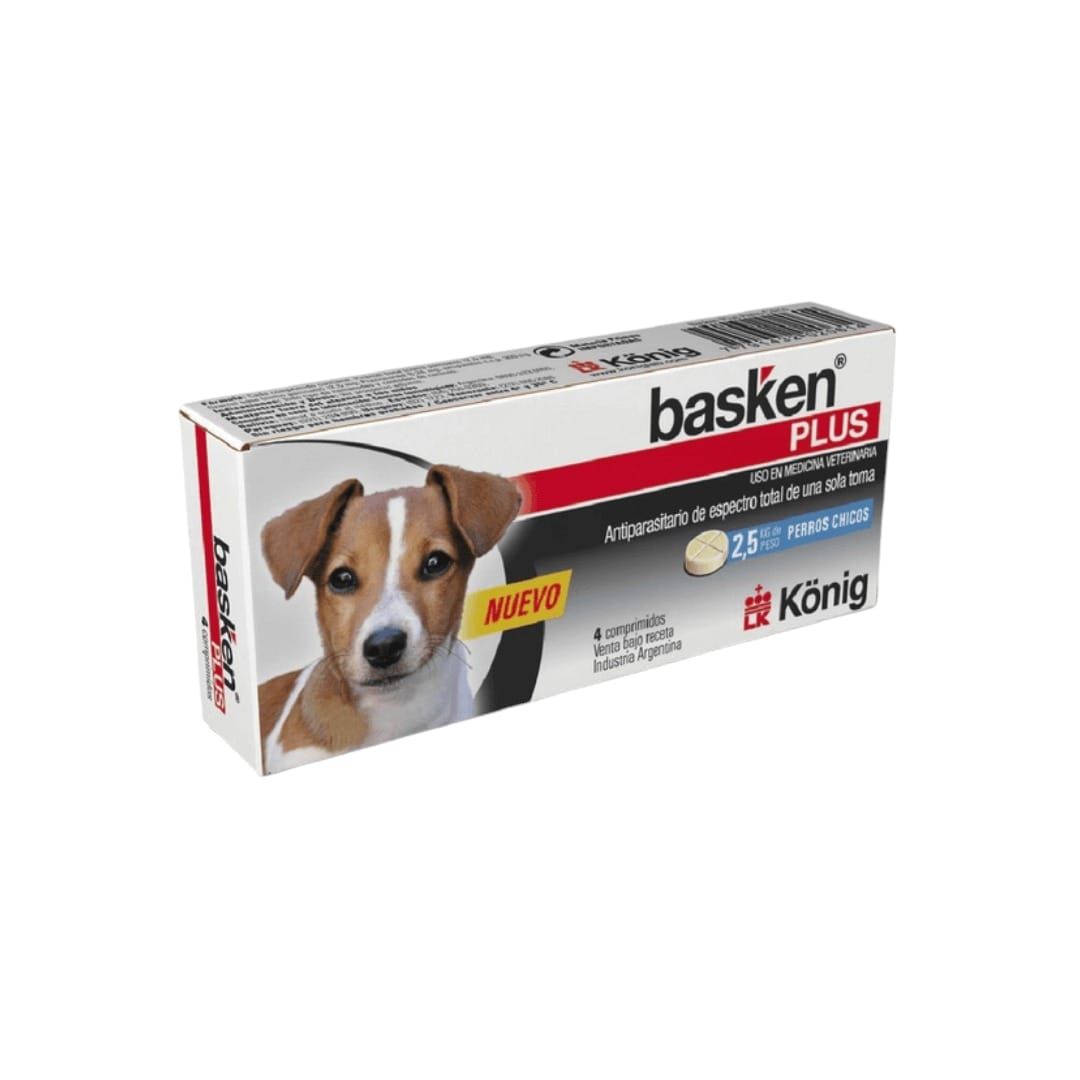 basken-plus-perro-ch-x-4-comp