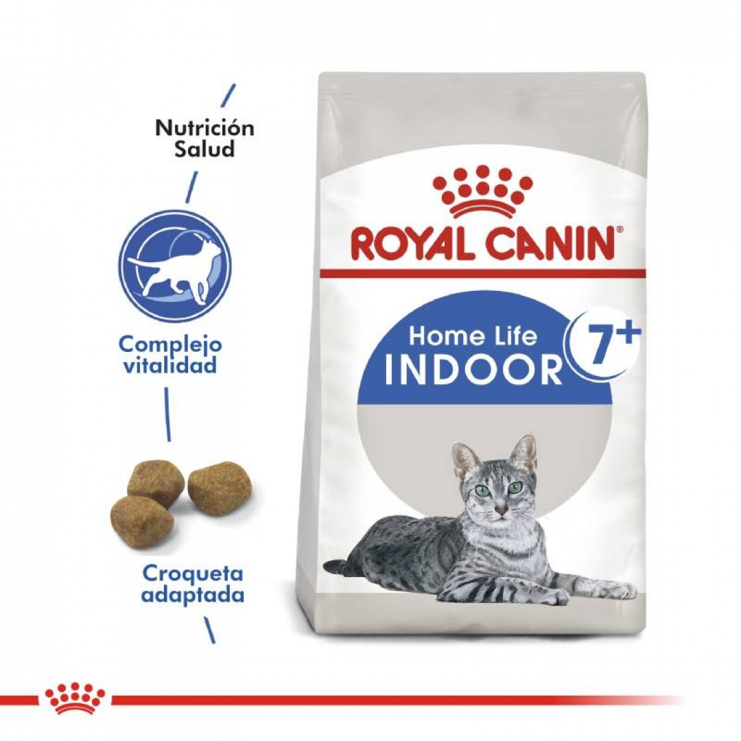 indoor-gato-7-15-kg
