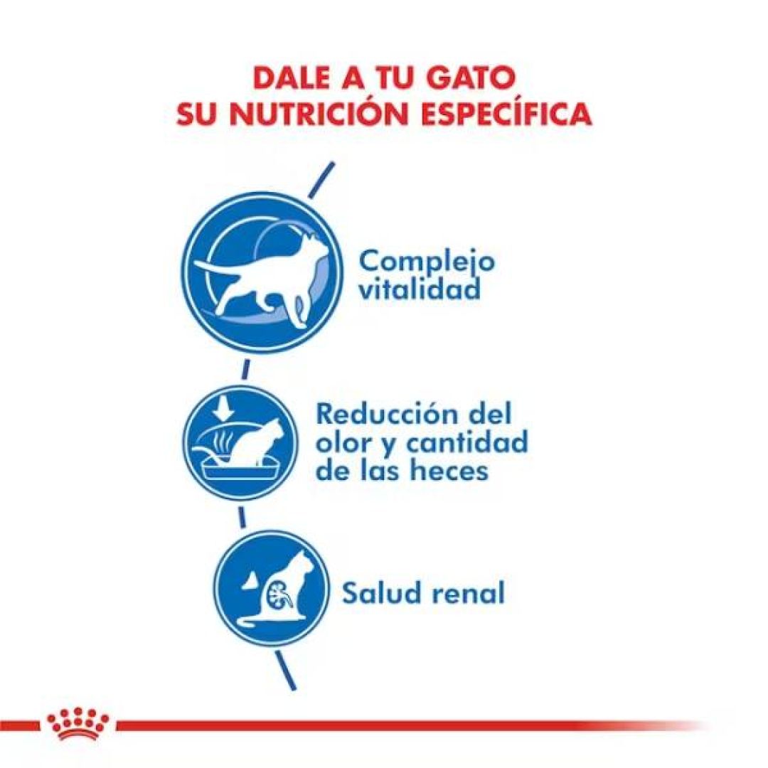 indoor-gato-7-15-kg