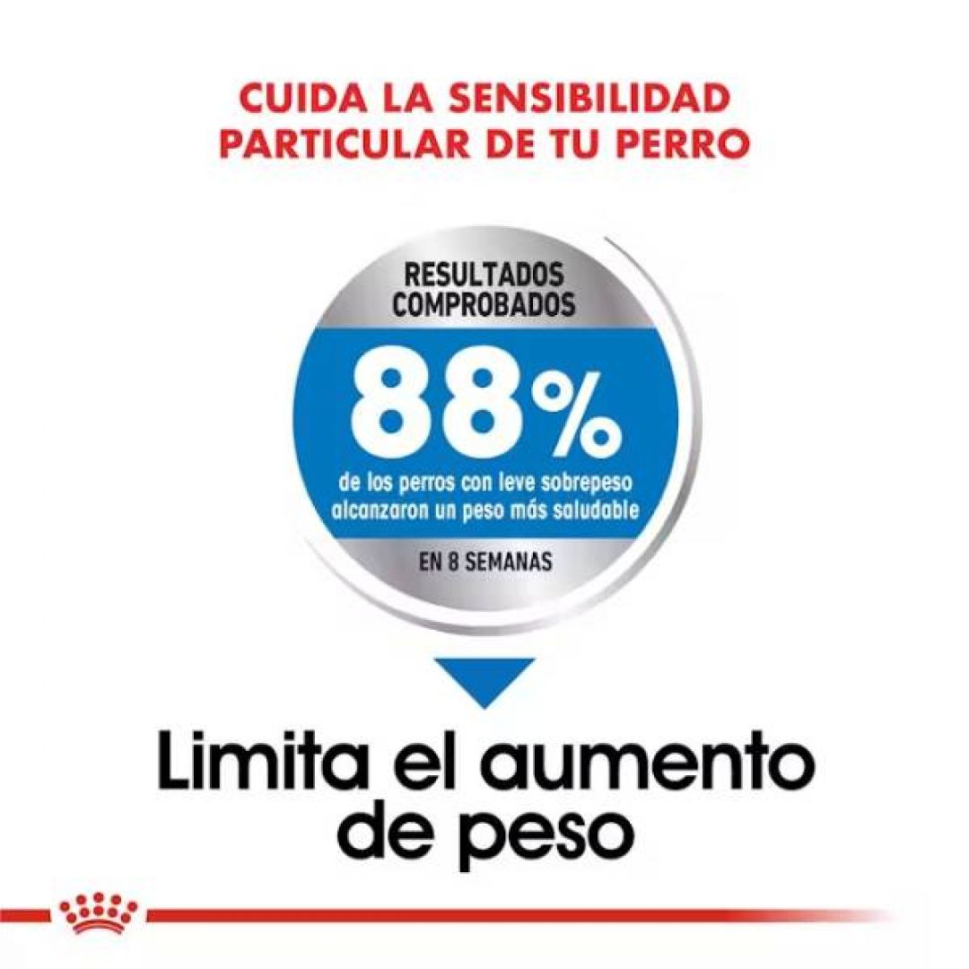 mini-weight-care-1-kg