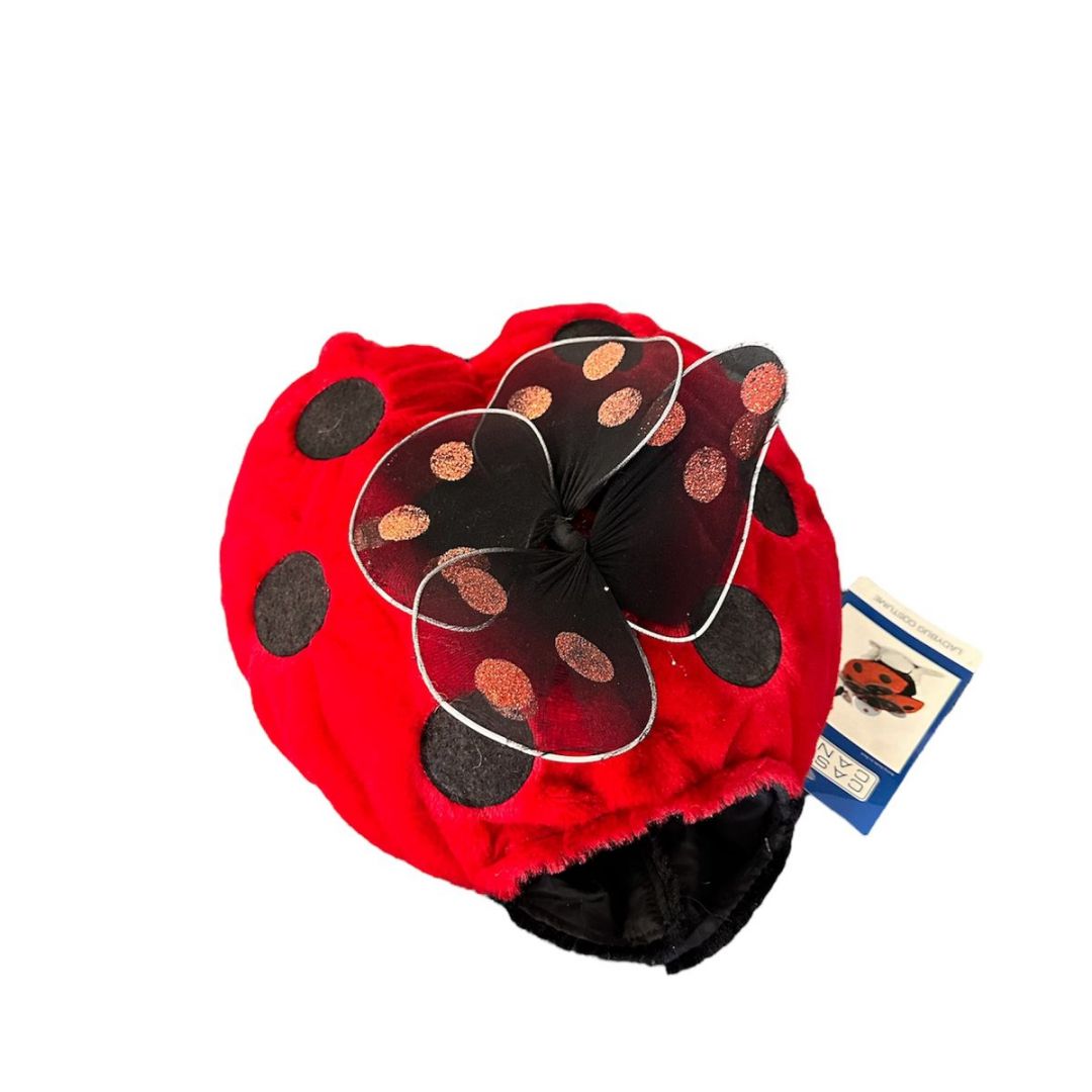 cc-ladybugs-costumes-s