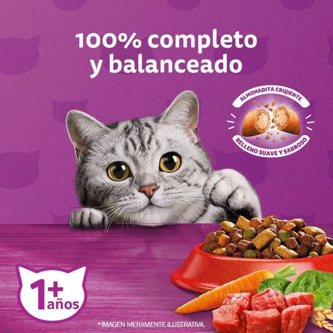 whiskas-carne-10-kg