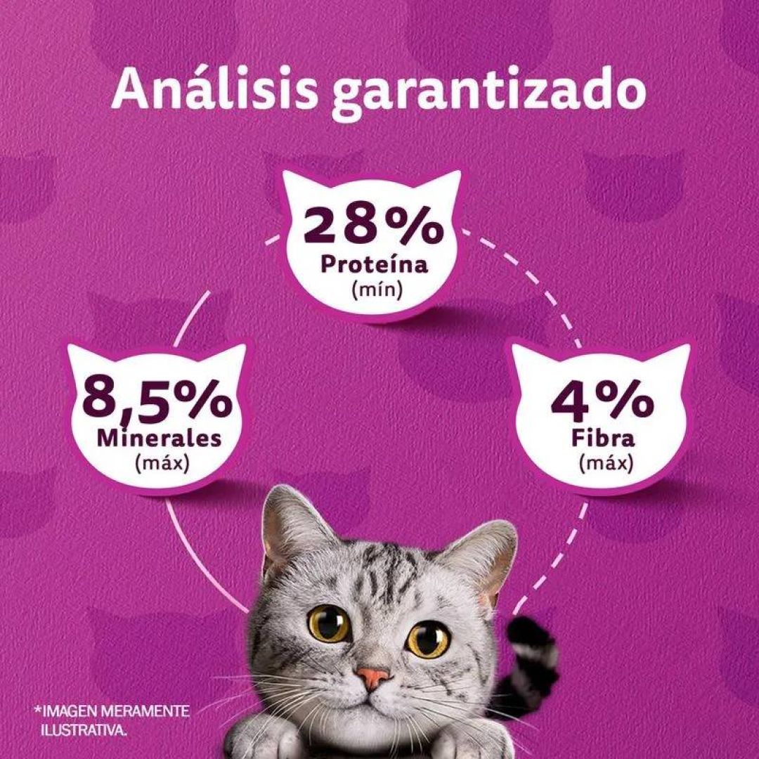 whiskas-pollo-10-kg