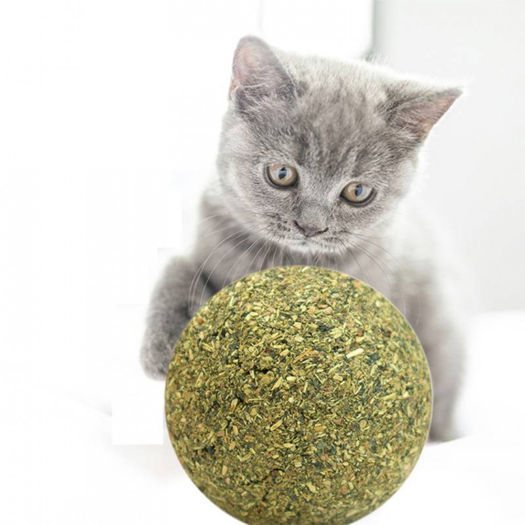 catnip-ball