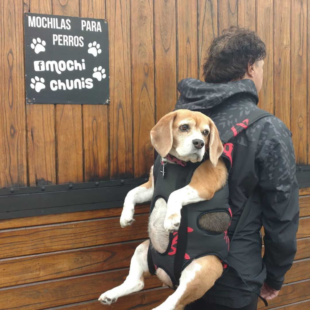 mochila-pperros-chunis-l