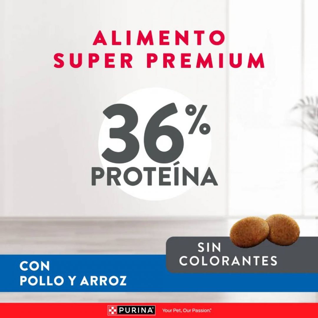 excellent-gato-sterilized-1-kg