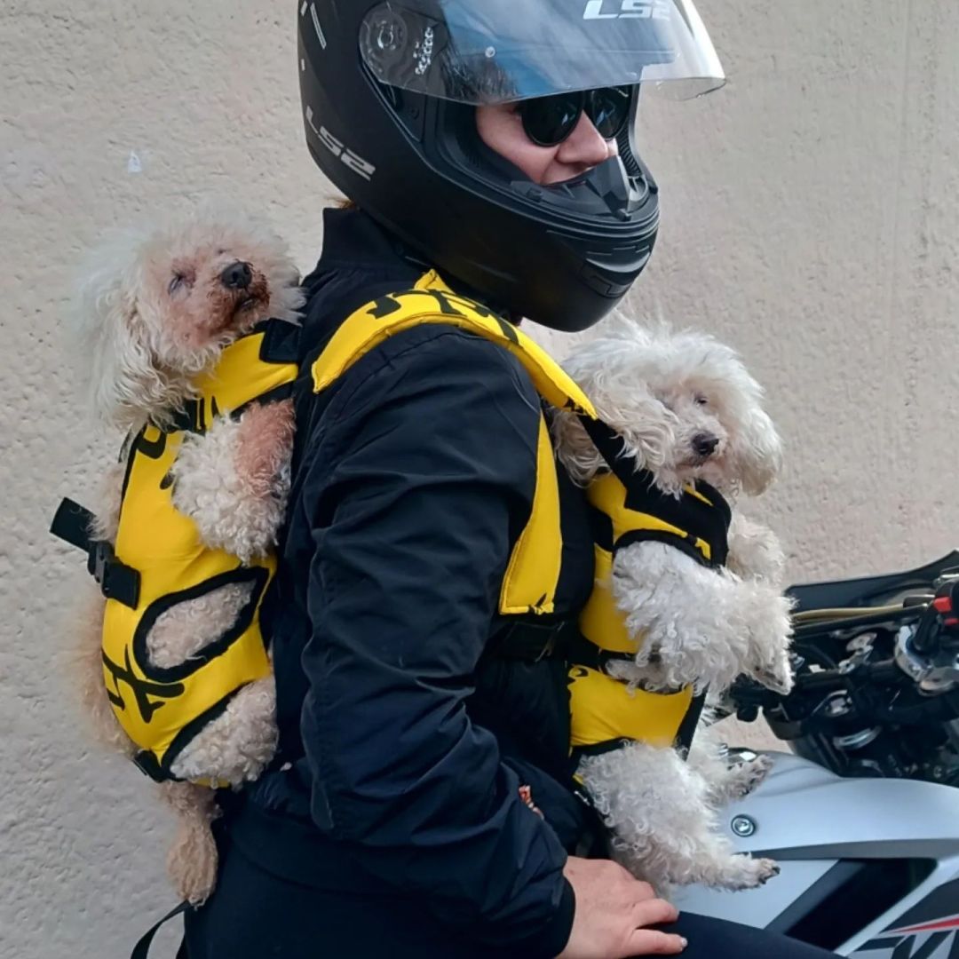 mochila-pperros-chunis-xxl