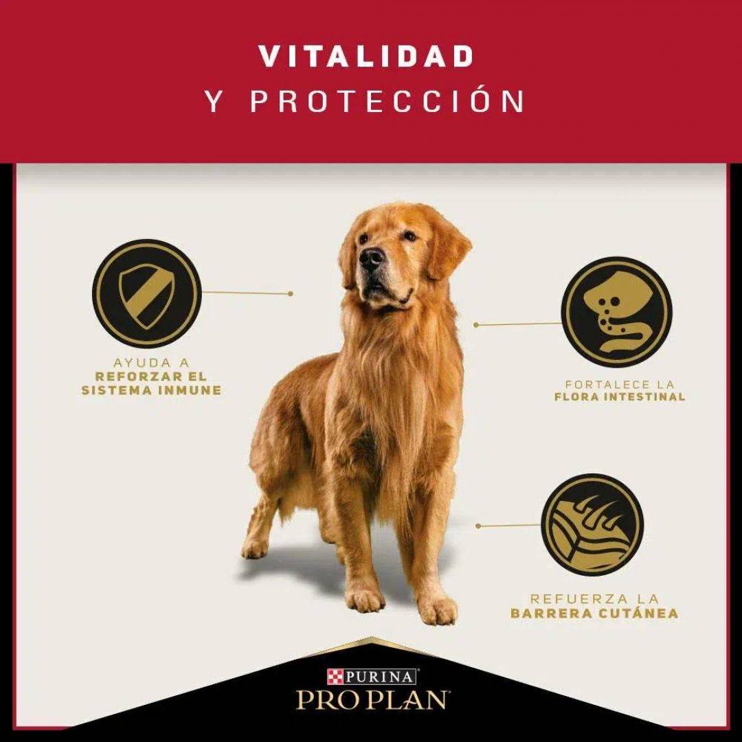 pro-plan-ad-mb-15-kg