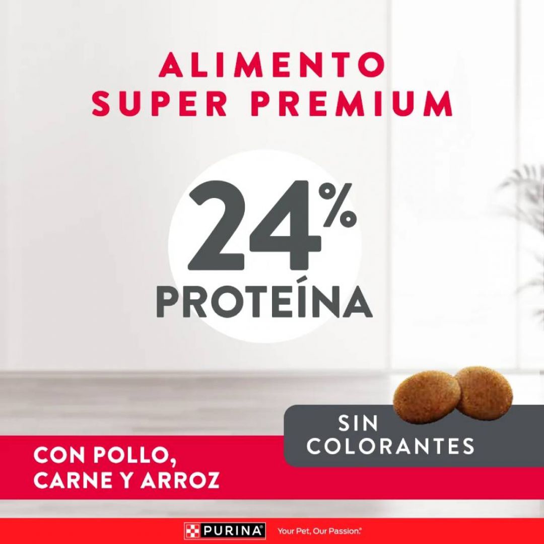 excellent-ad-mg-20-kg