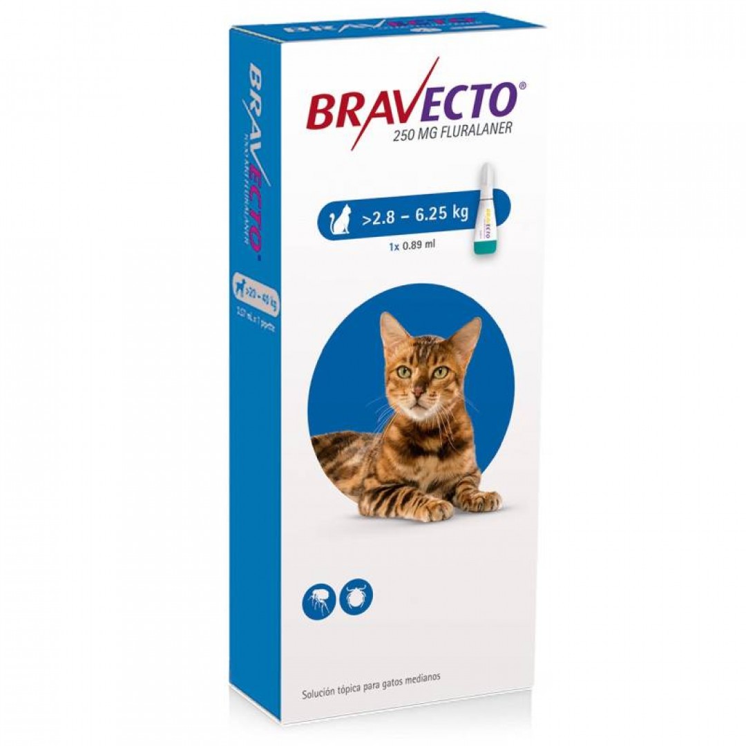pipeta-bravecto-gatos-h-625-kg