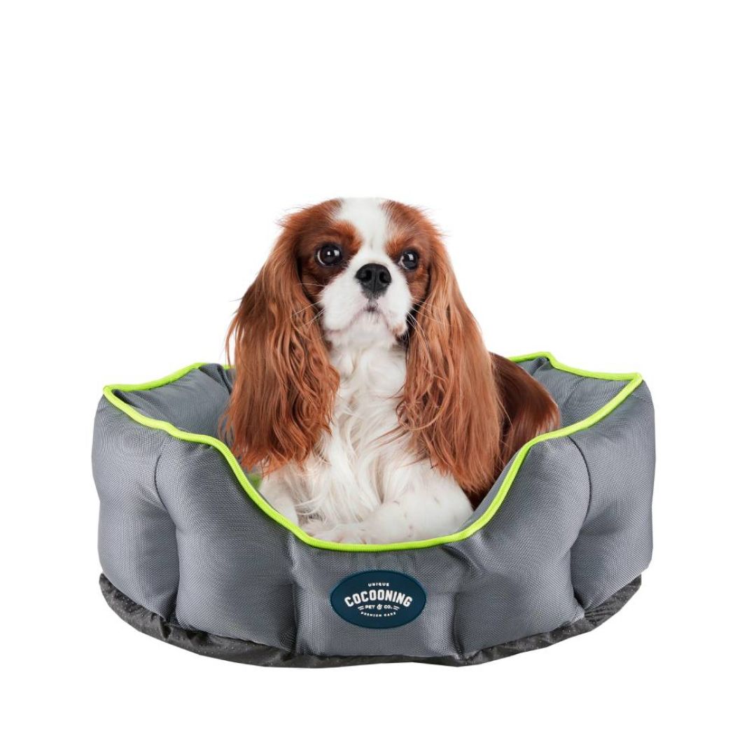 jesse-cama-redsm-imper-lima-60x40x19