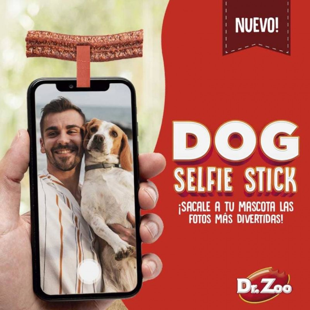 dog-selfie-stick