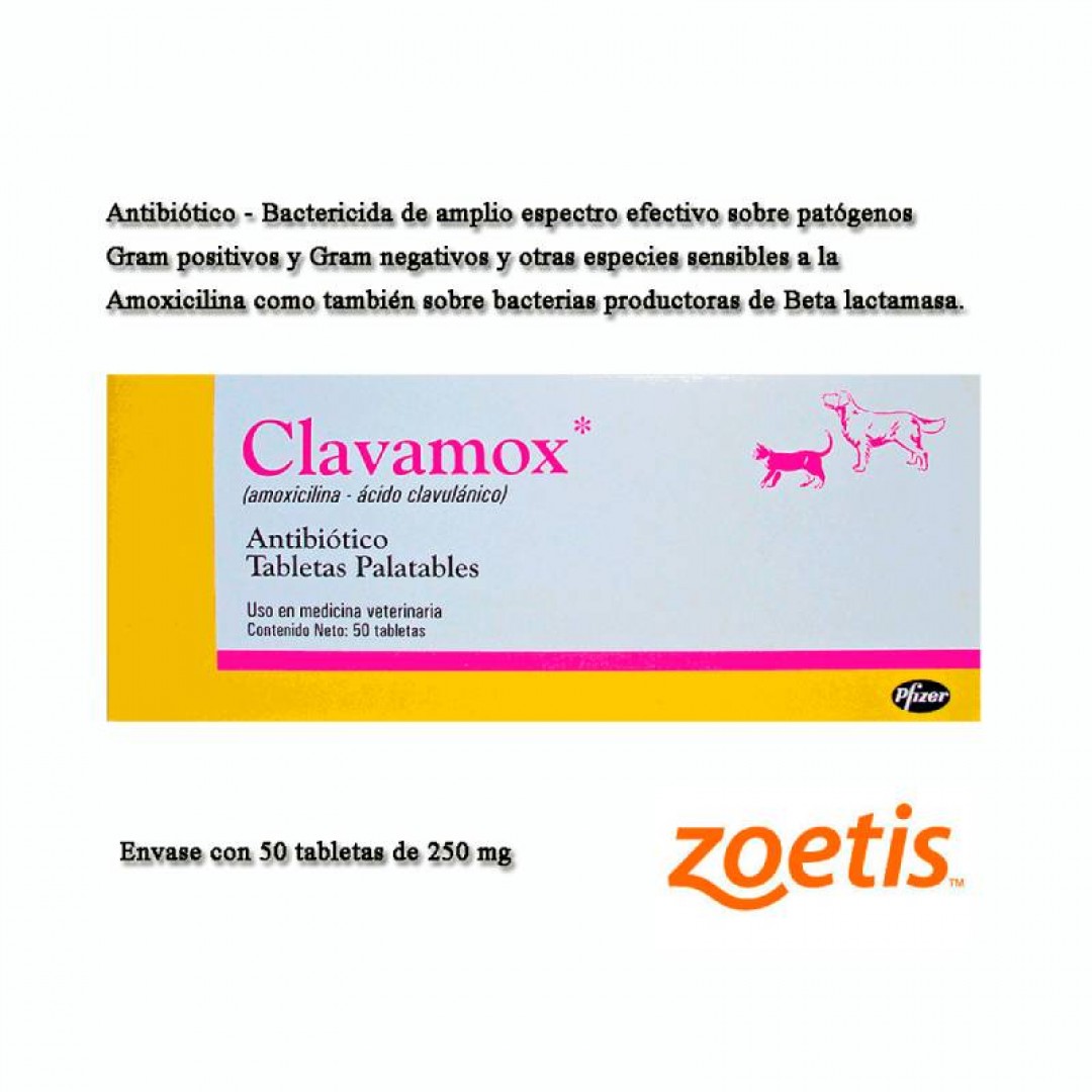 clavamox-250-mg-x-blister