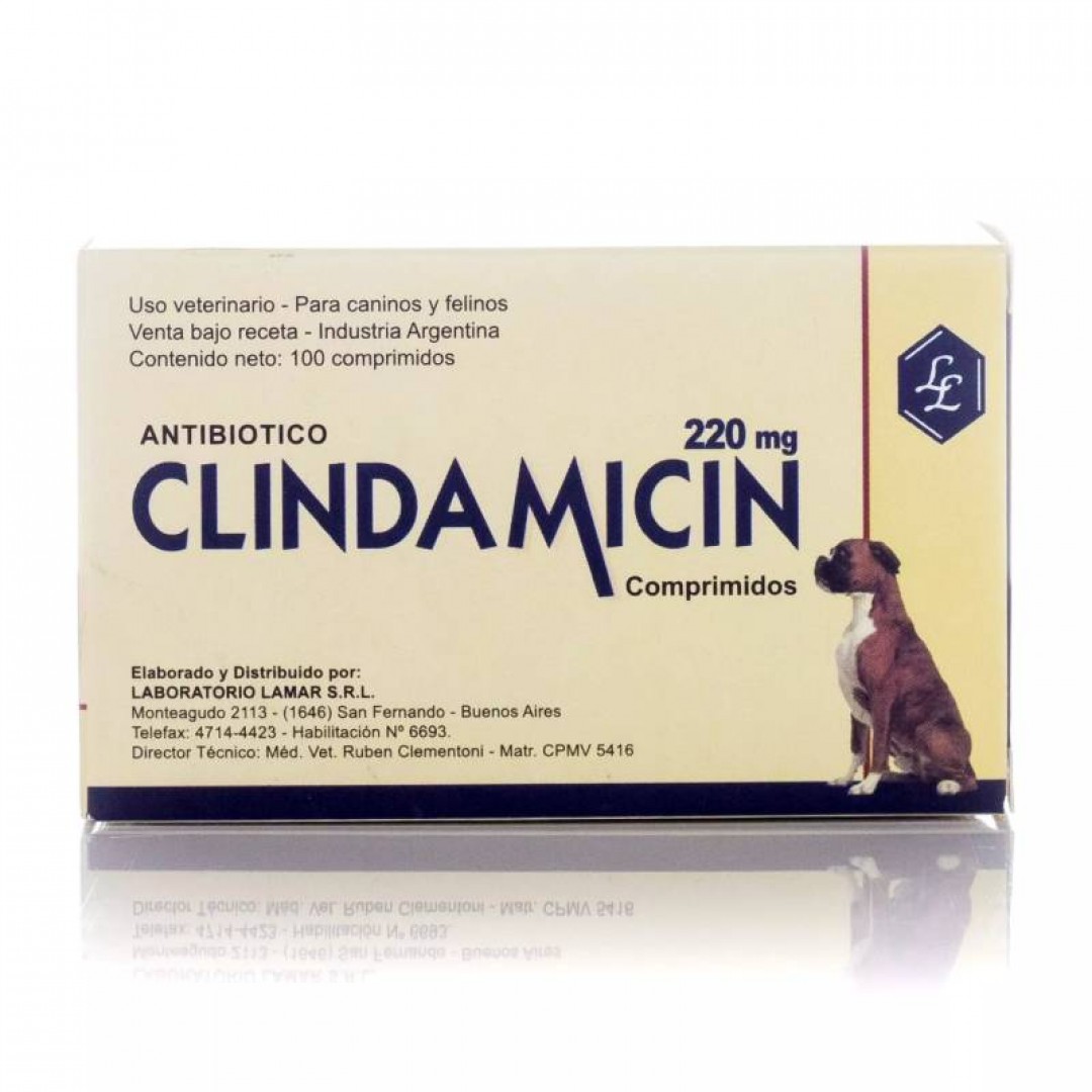 clindamicin-220-mg-x-blister