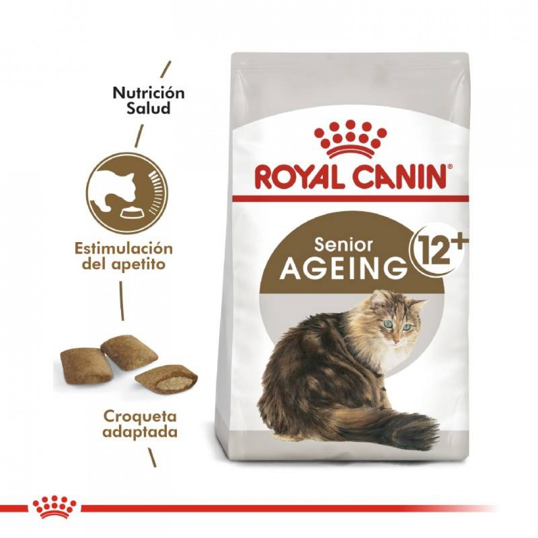 ageing-12-gato-2-kg