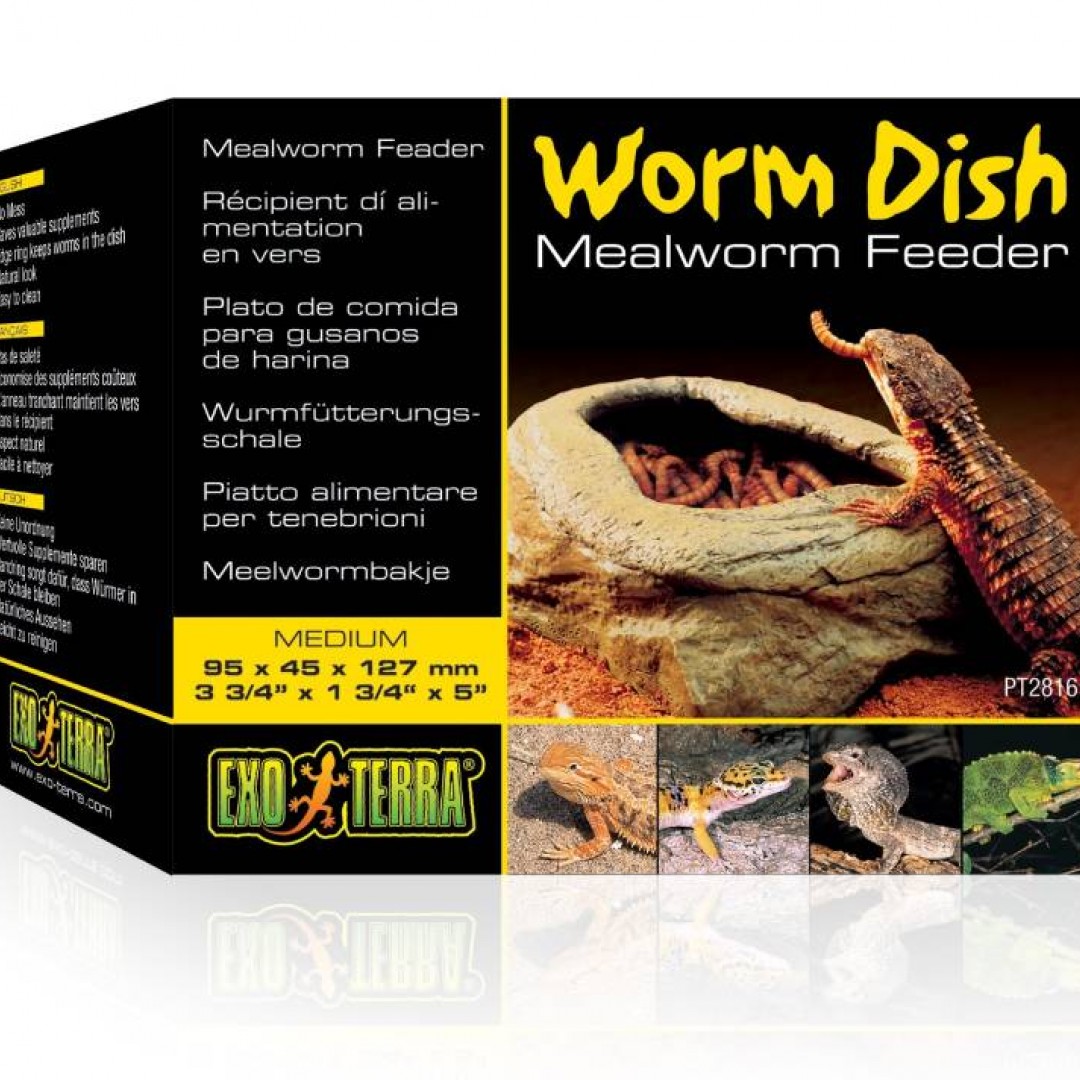 exo-terra-meal-worm-feeder-dish