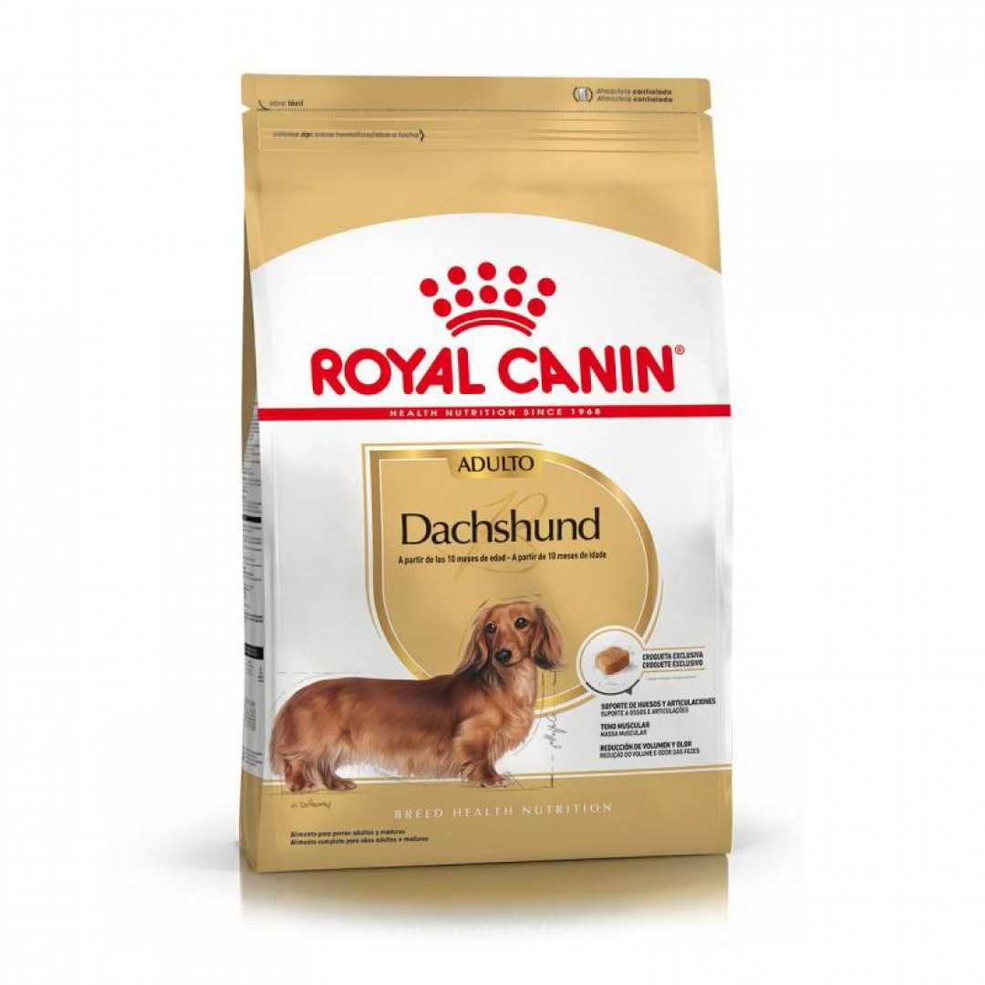 dachshund-ad-3-kg