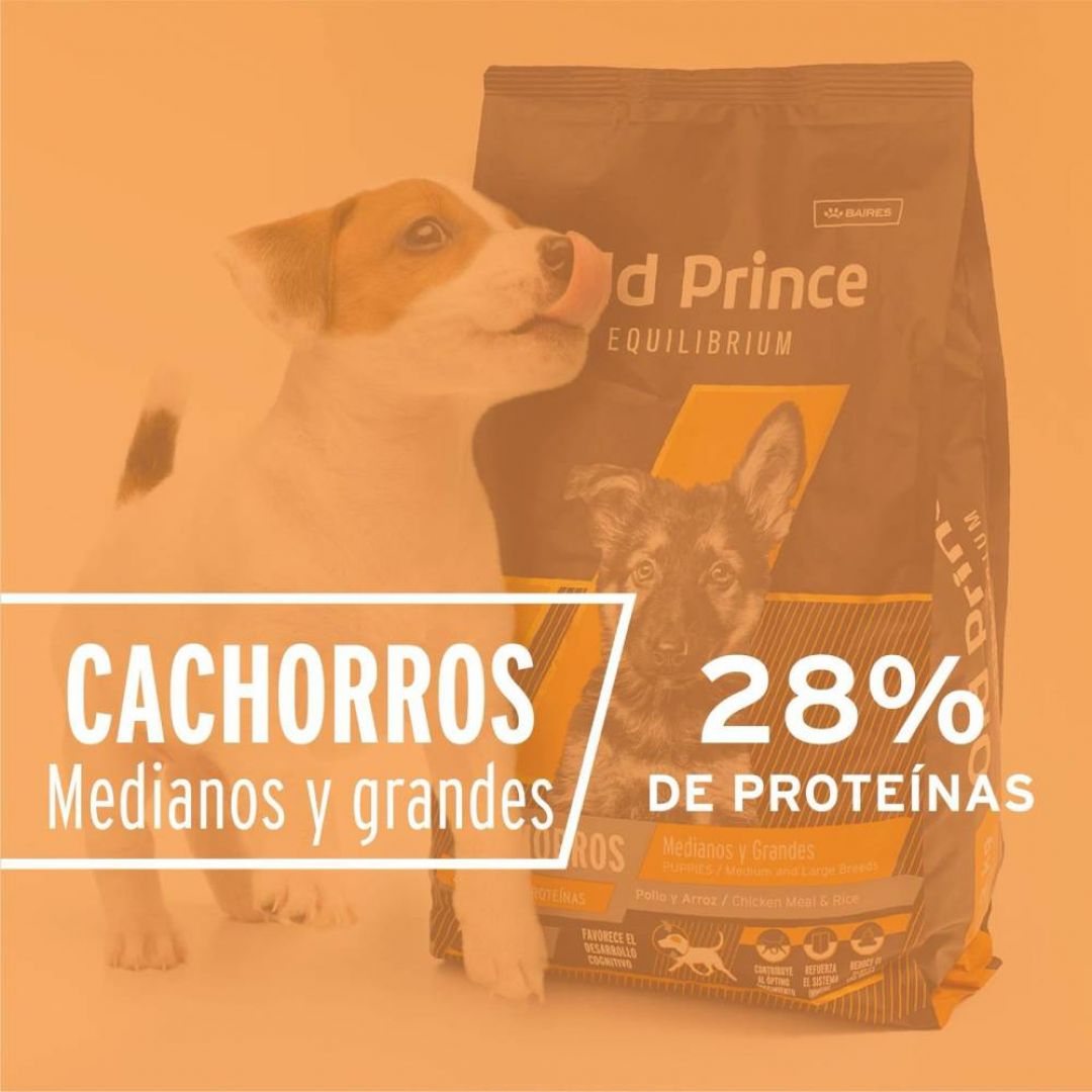 old-prince-equil-cachorro-mg-3-kg