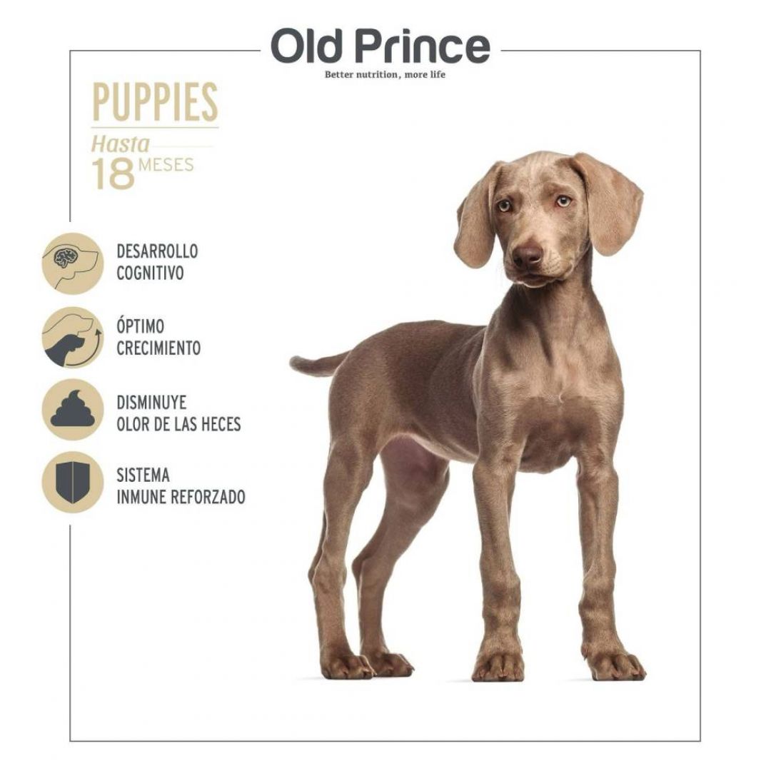 old-prince-equil-cachorro-mg-3-kg