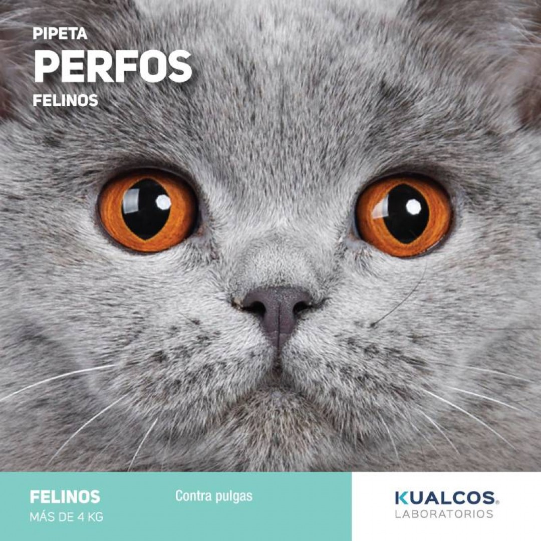 pipeta-perfos-gato-4-kg