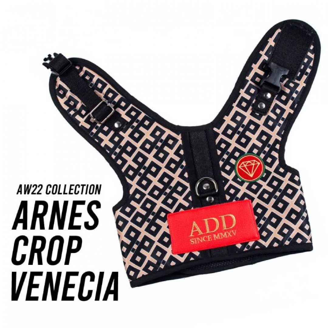 arnes-crop-venecia-t4