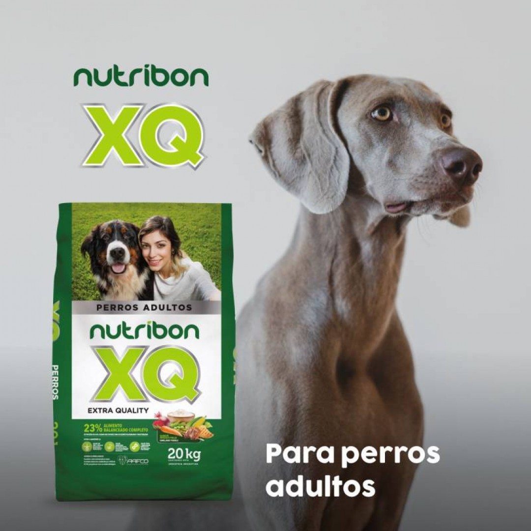 nutribon-xq-ad-20-kg