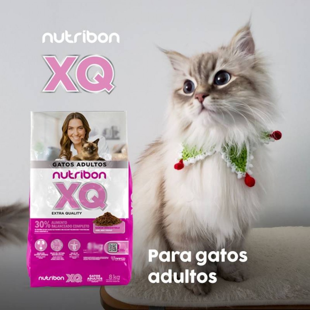 nutribon-xq-gato-20-kg