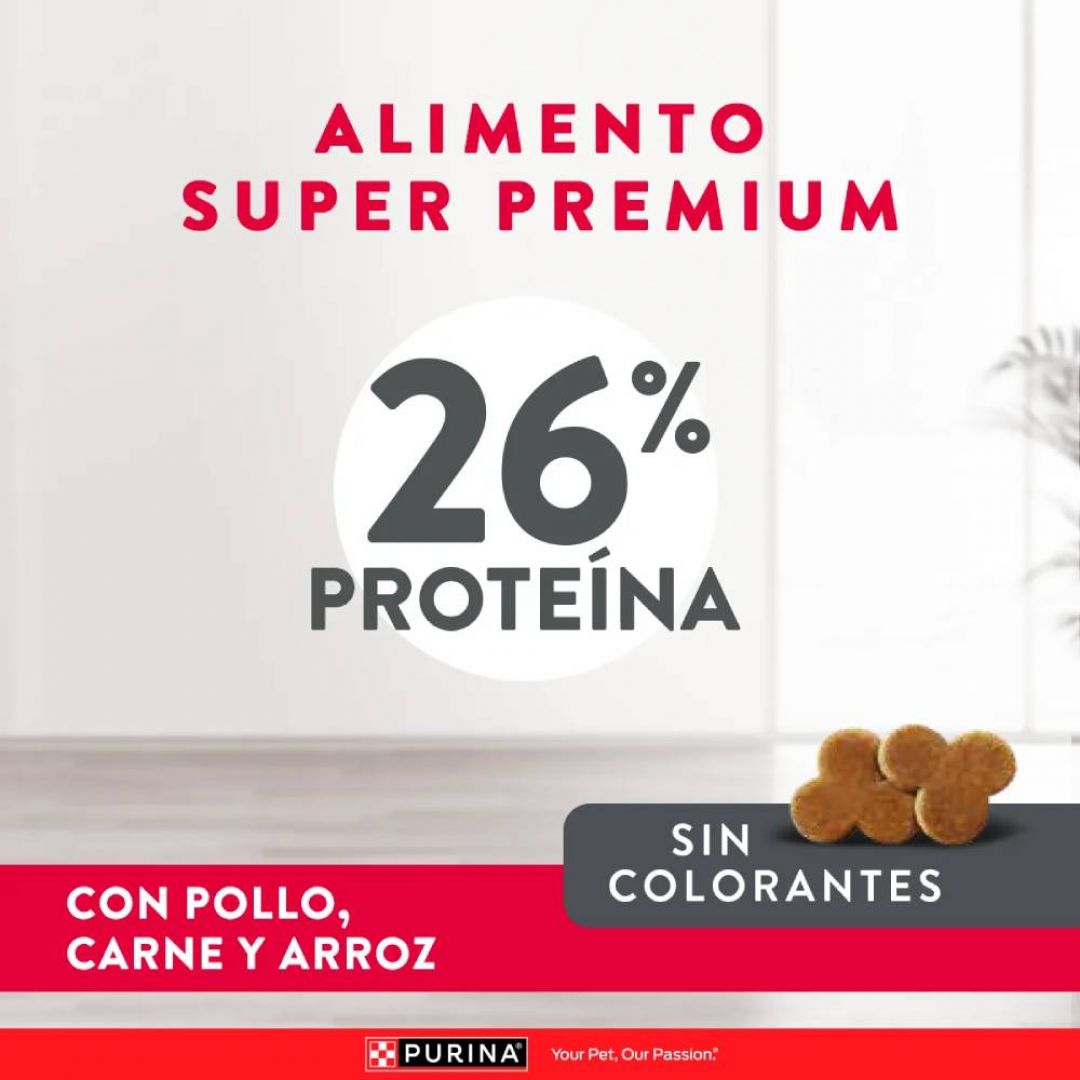 excellent-senior-7-3-kg