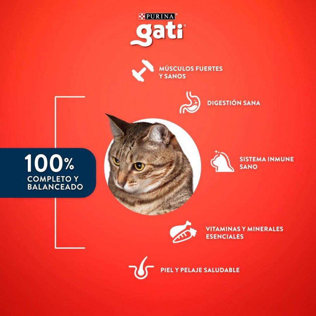 gati-pescado-csalmon-15-kg