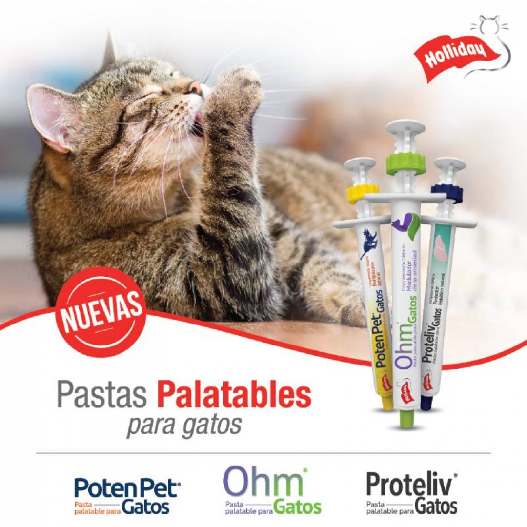 proteliv-gatos-pasta-x-1-jer