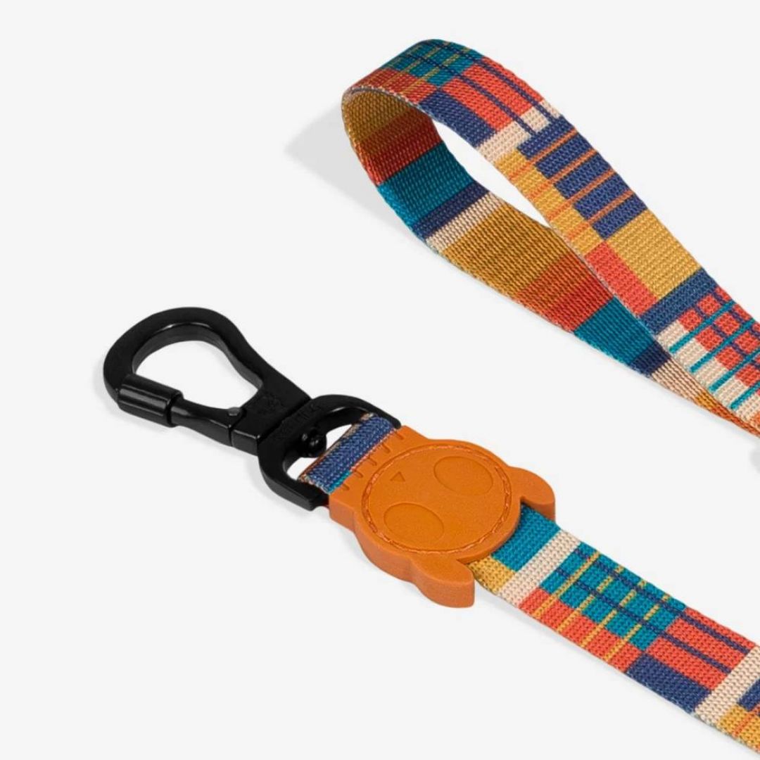 wes-leash-s