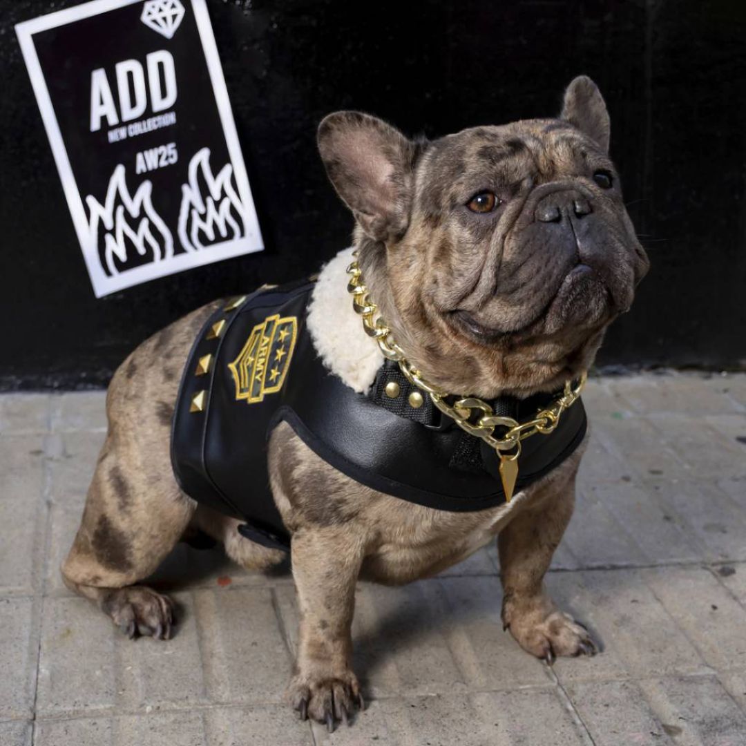 arnes-crop-aviador-t4