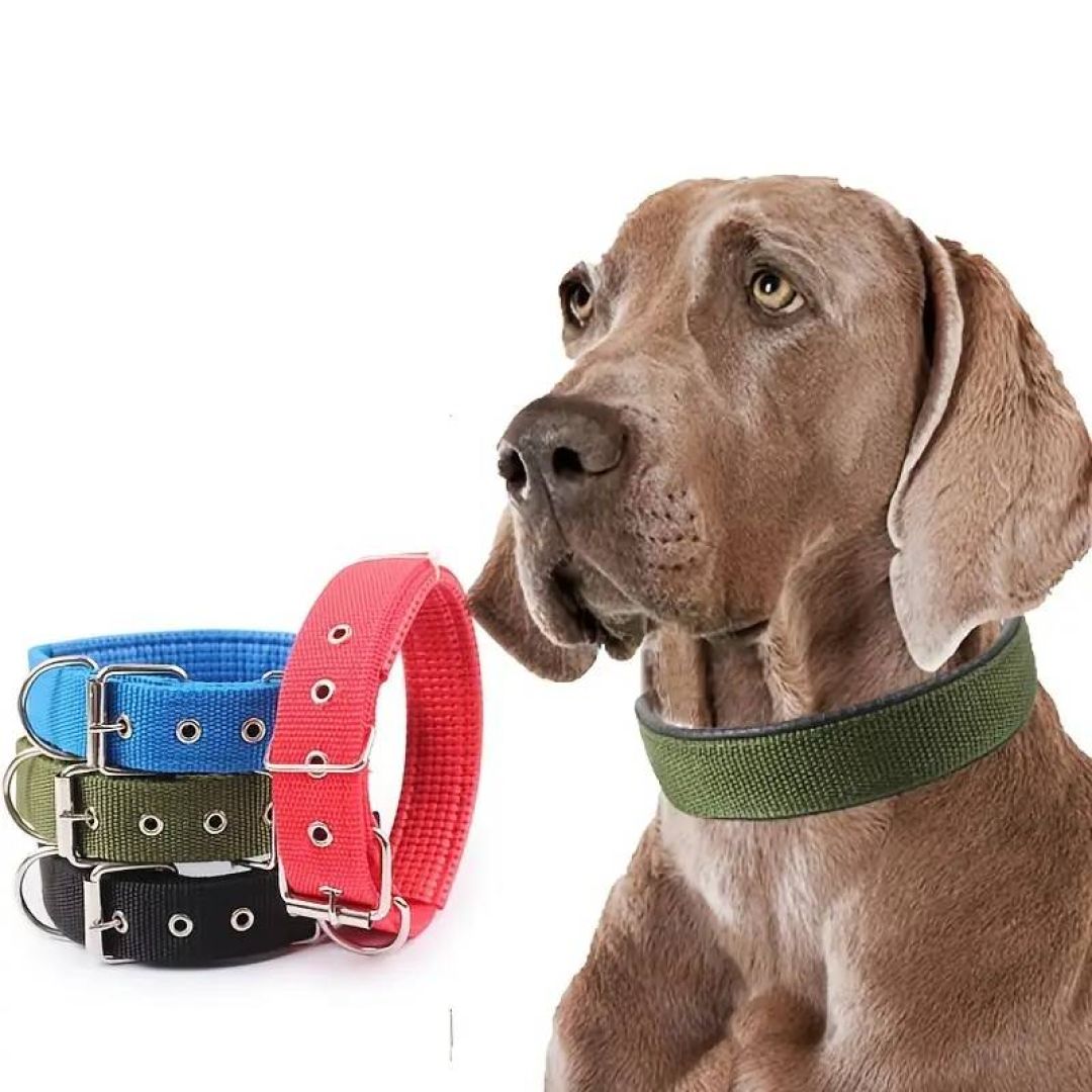collar-liso-aym-25x50