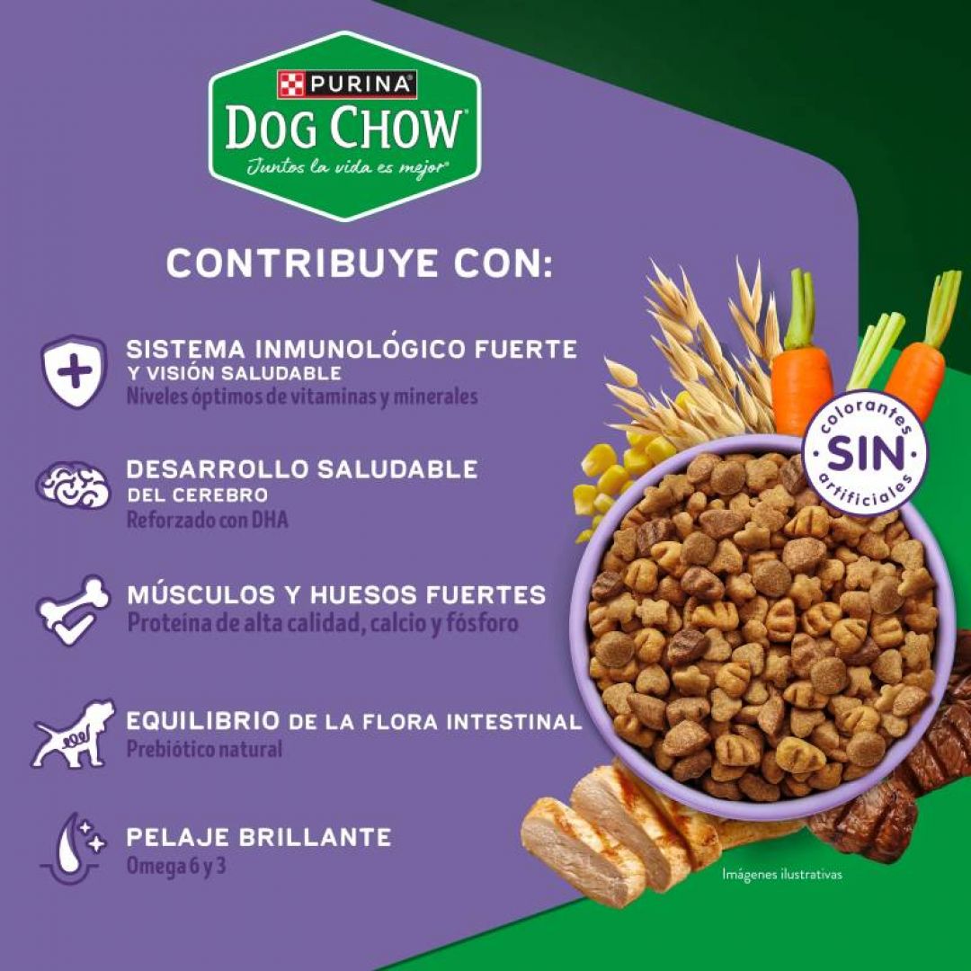 dog-chow-cachorro-mp-gran-comienzo-21-kg