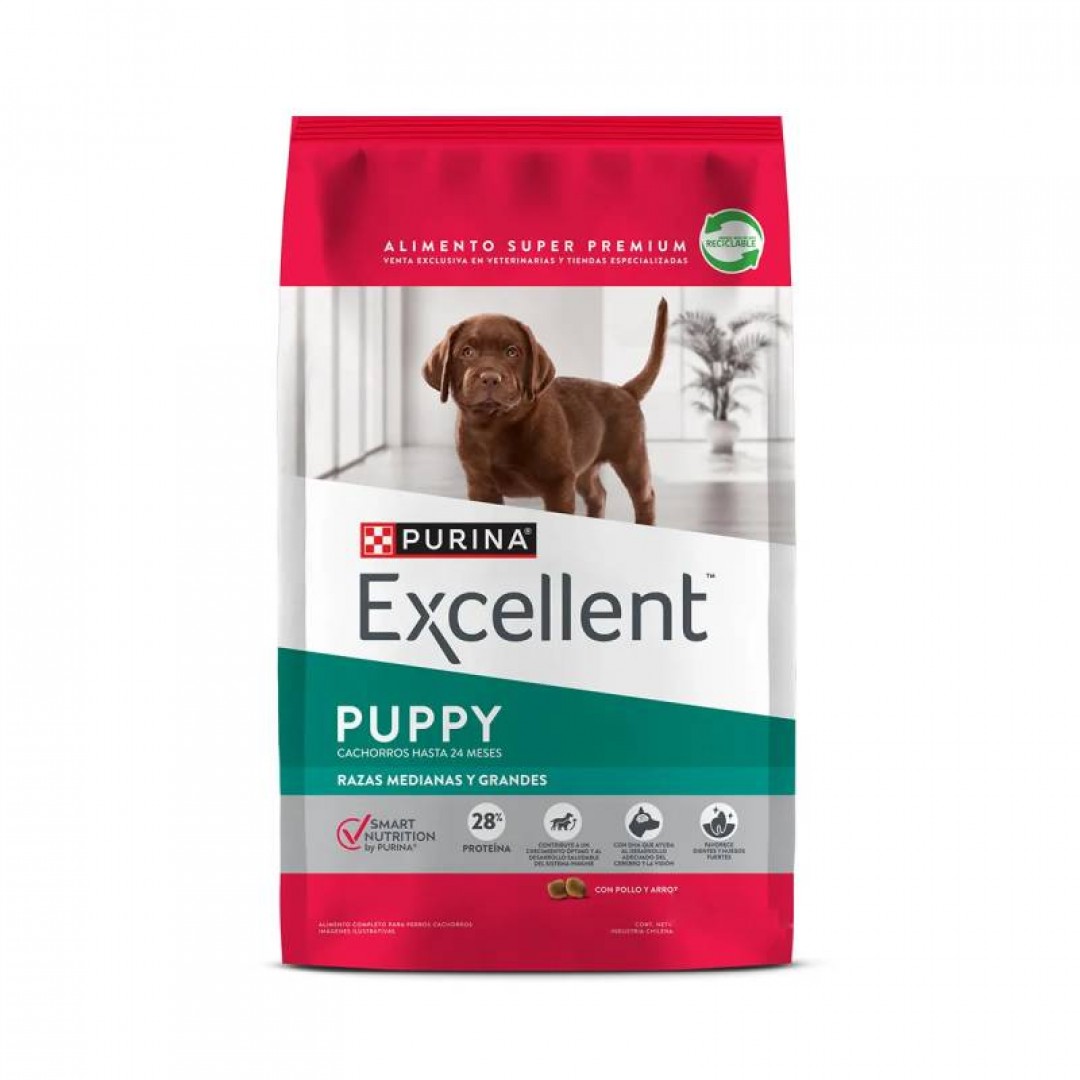 excellent-puppy-med-y-gr-20-kg