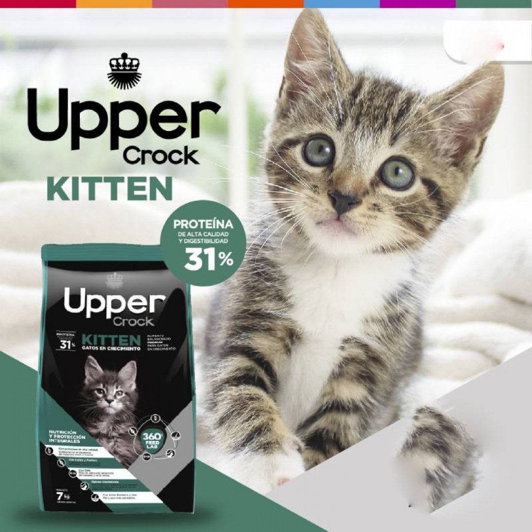 upper-crock-gato-kitten-7-kg
