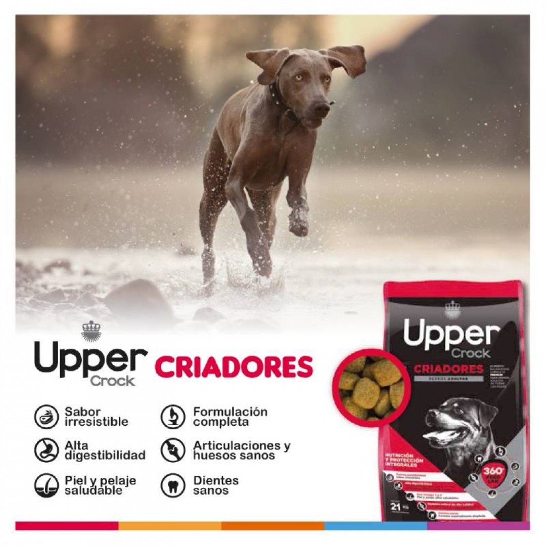 upper-crock-craidores-21-kg