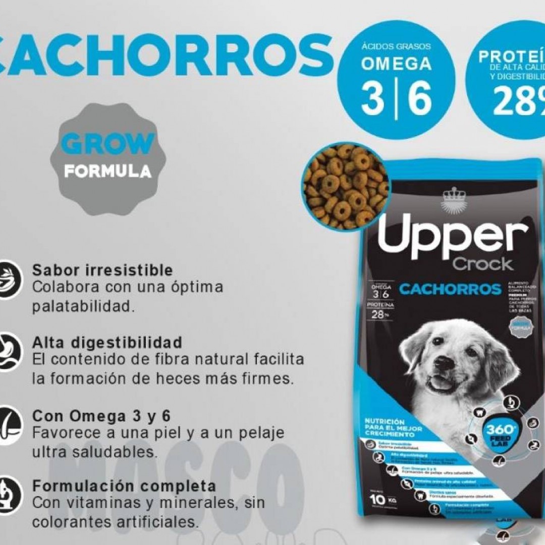 upper-crock-cachorro-15-kg