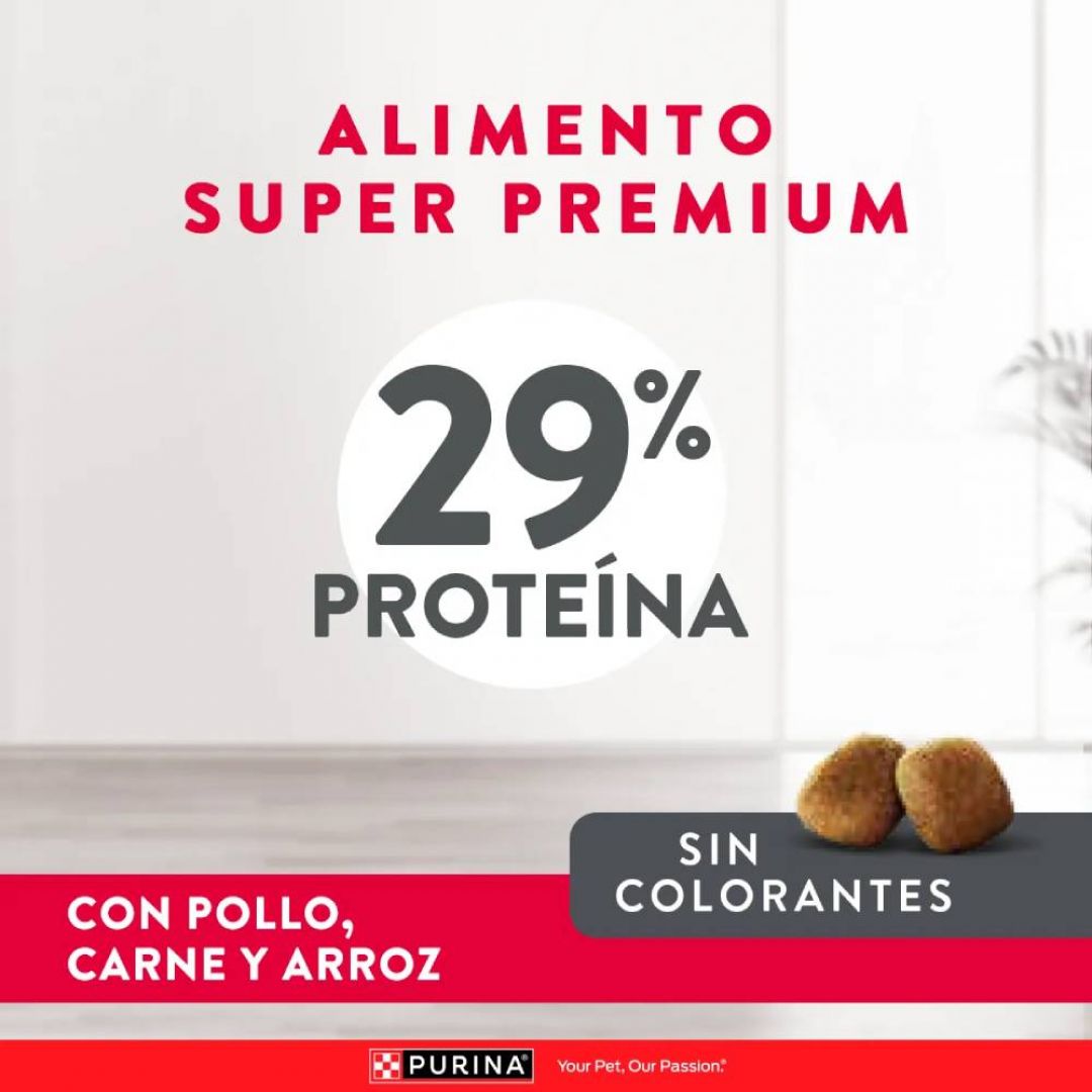 excellent-puppy-rp-1-kg