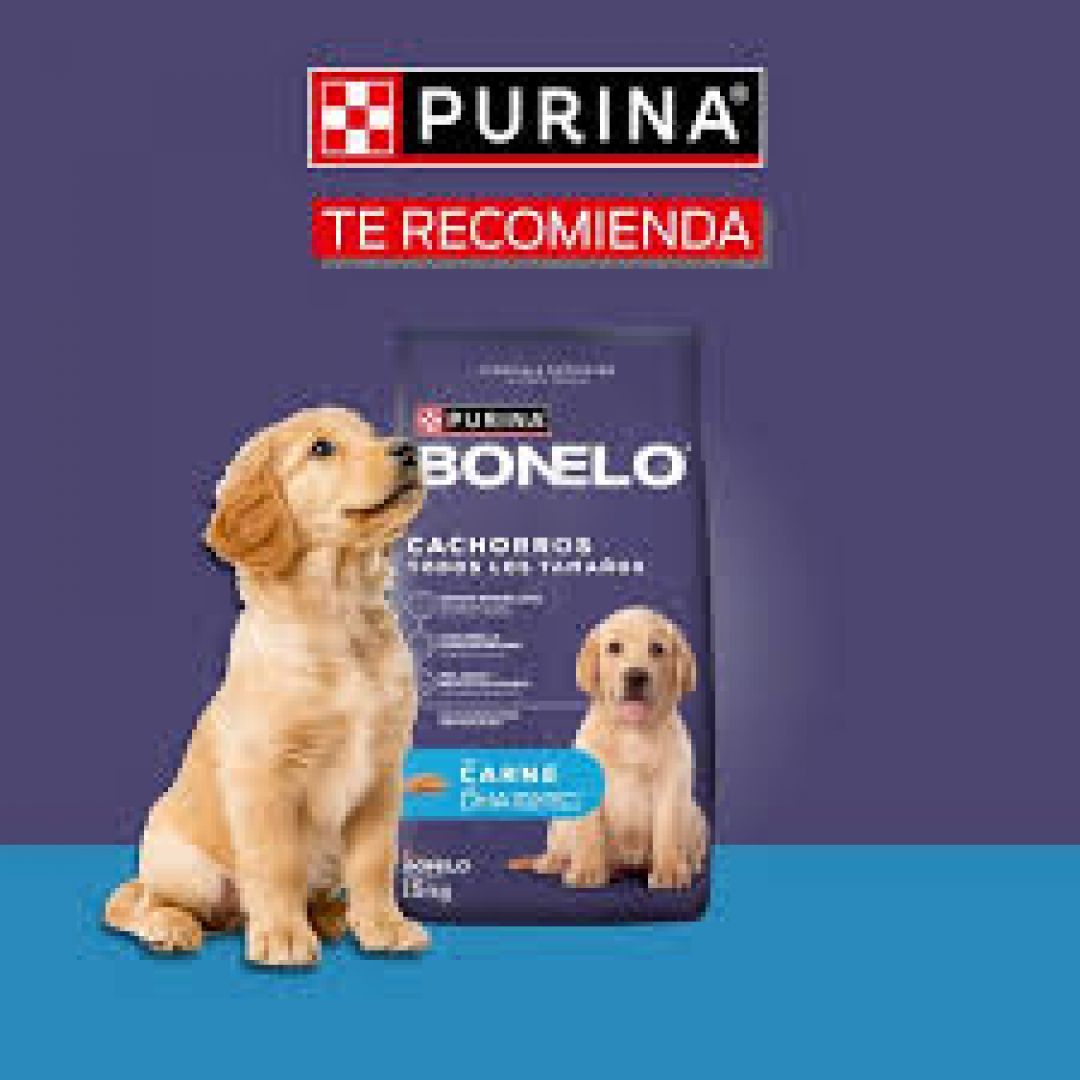 bonelo-puppy-15-kg