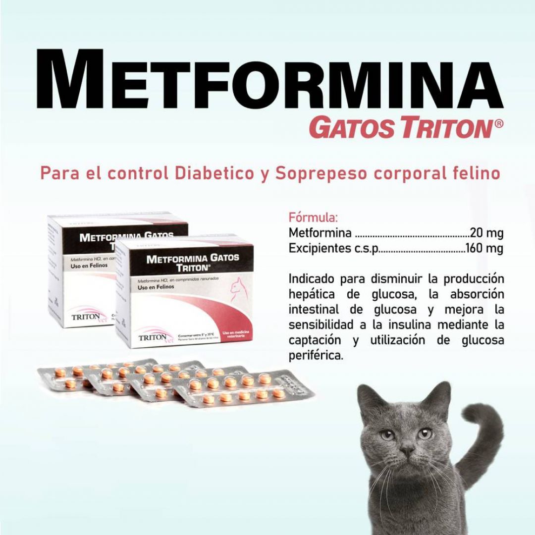 metformina-gato-mg-x-caja