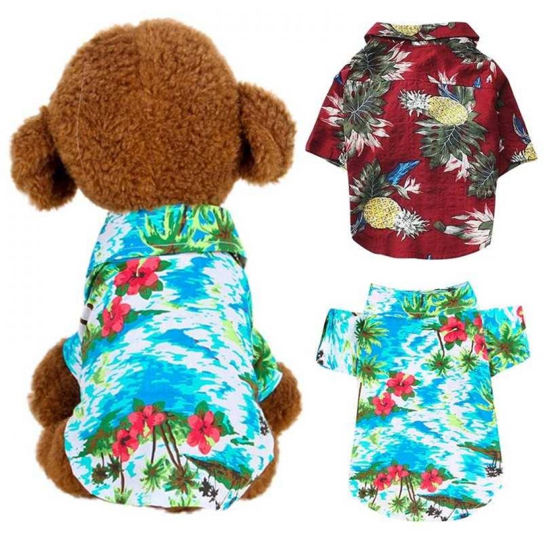 camisa-hawaiana-t2