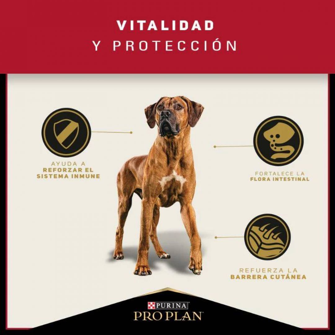 pro-plan-ad-lb-3-kg